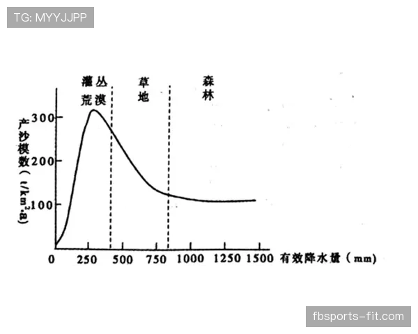 深入解析干扰球国际规则差异的判定标准与细节
